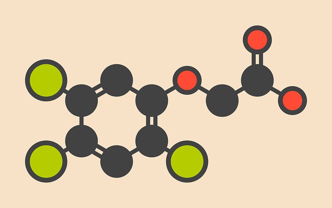 Trichlorophenoxyacetic acid molecule