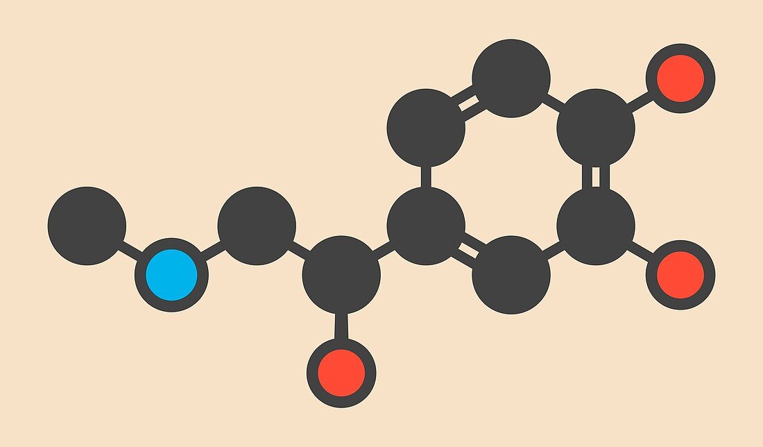 Adrenaline molecule