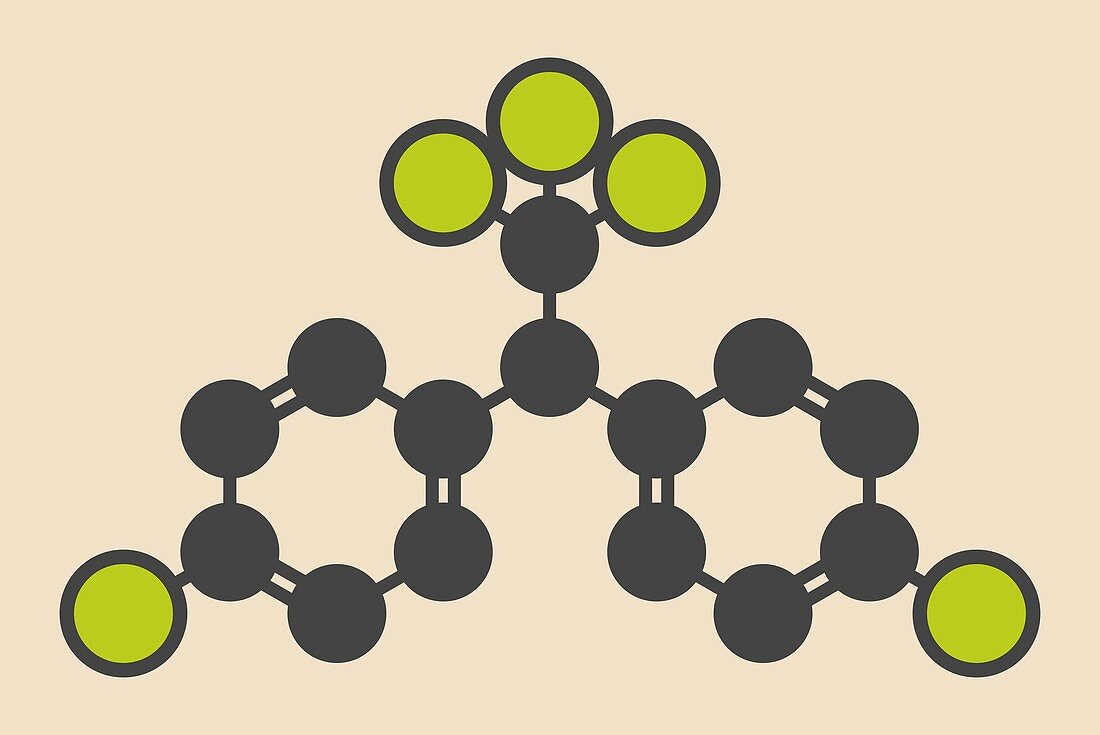 DDT molecule