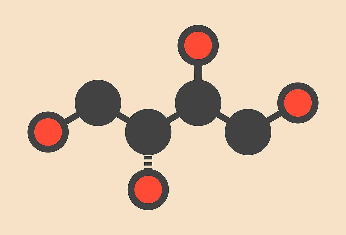 Erythritol non-caloric sweetener molecule