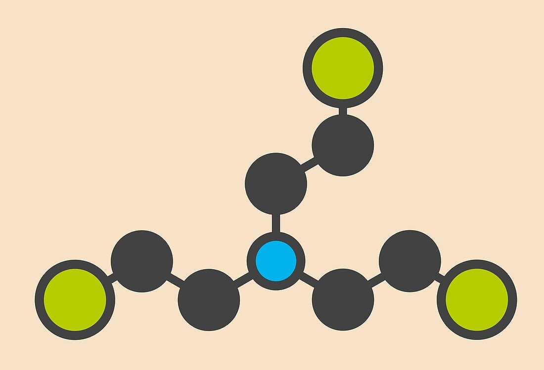 Nitrogen mustard molecule