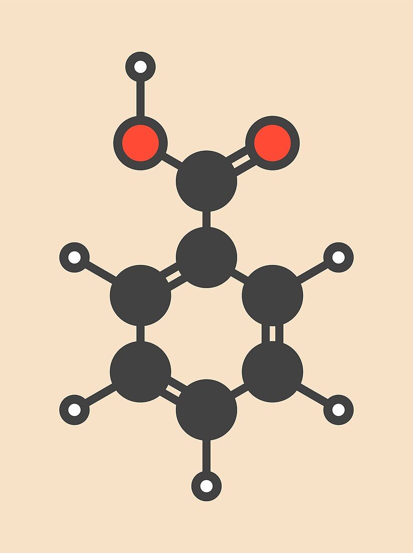 Benzoic acid molecule