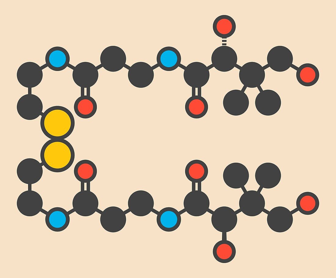 Pantethine dimeric vitamin B5 molecule