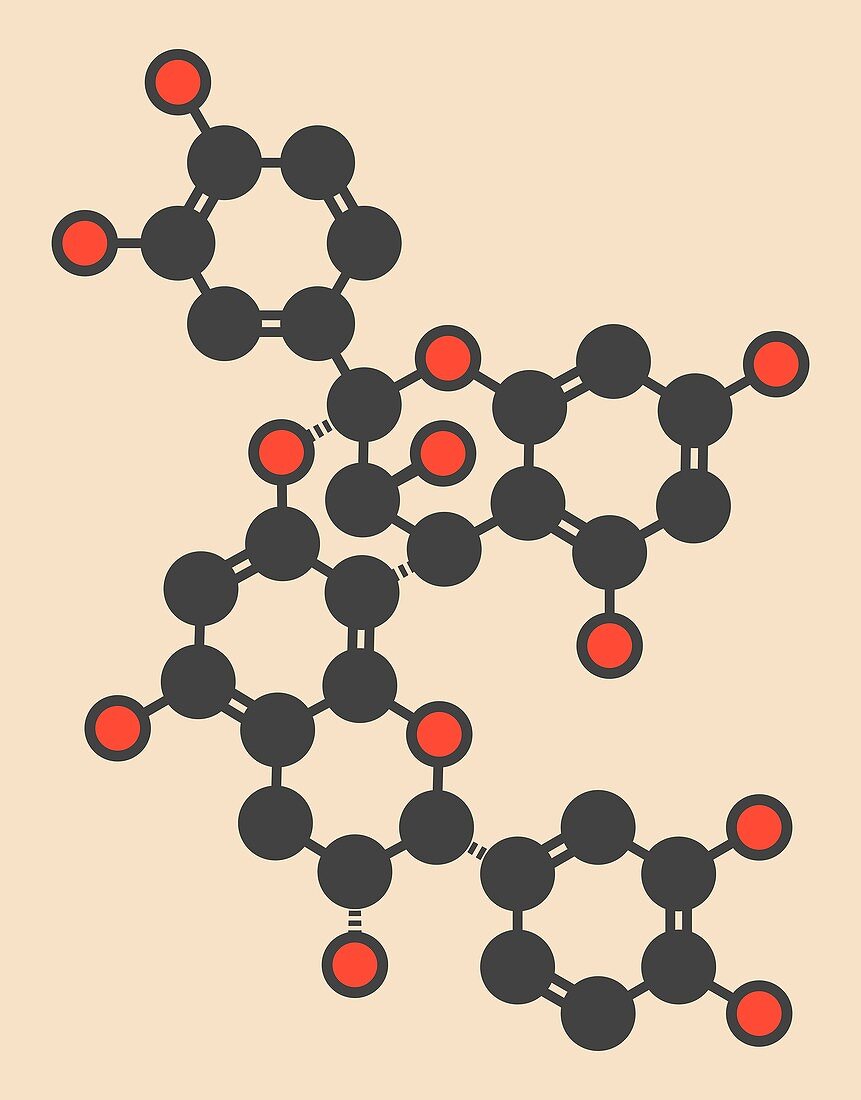 Proanthocyanidin A2 molecule