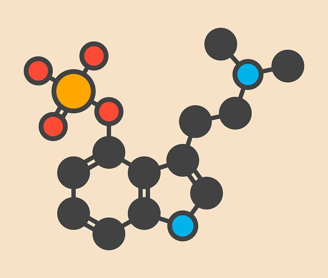 Psilocybin psychedelic mushroom molecule