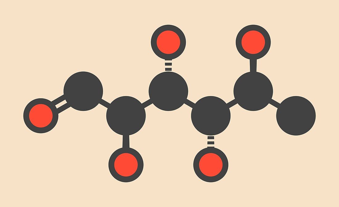 Rhamnose molecule