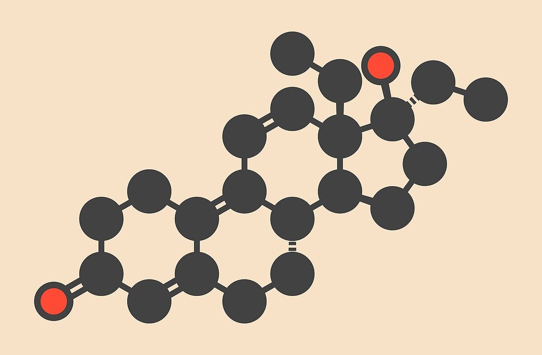 Tetrahydrogestrinone molecule