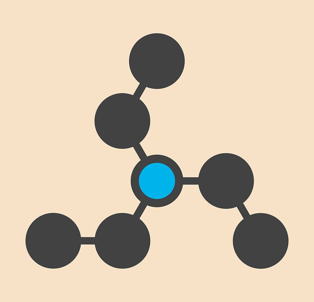 Triethylamine organic base molecule