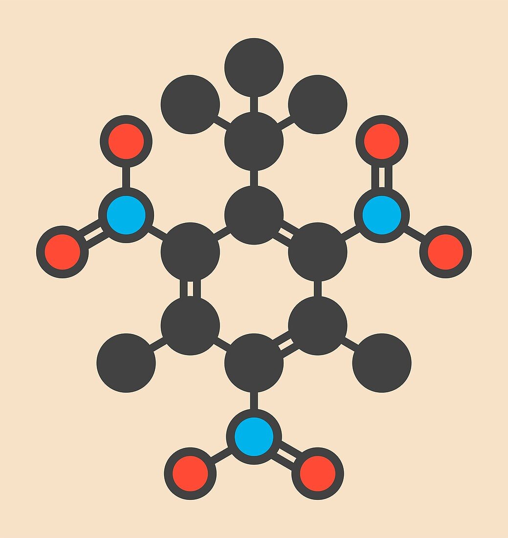 Musk xylene molecule