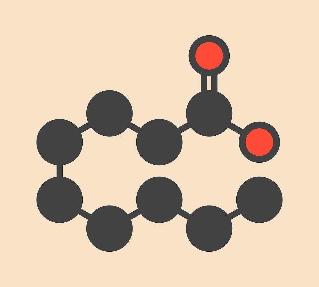 Pelargonic acid molecule