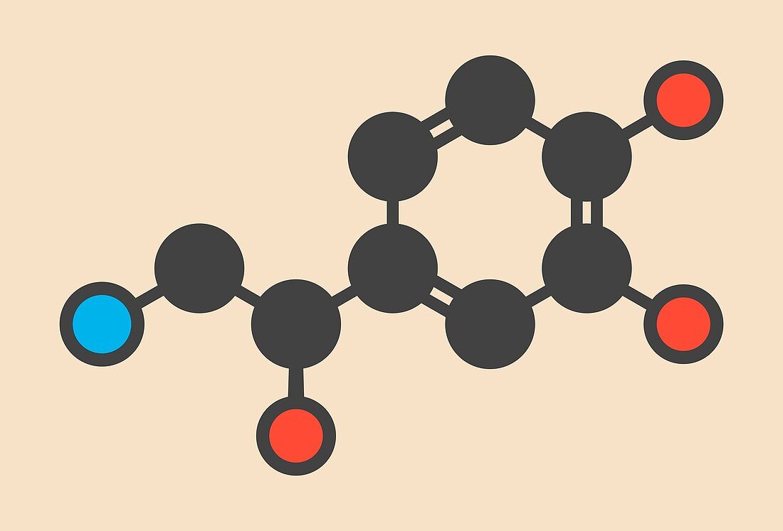 Noradrenaline hormone molecule