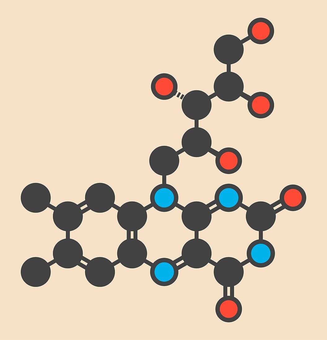 Vitamin B2 molecule