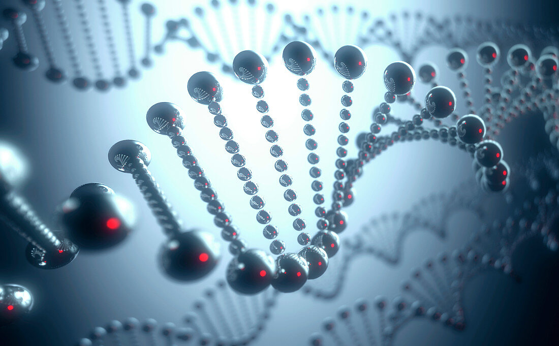 DNA structure,Illustration