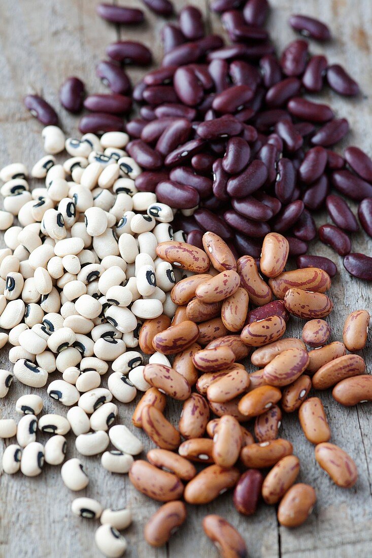Selection of dried beans
