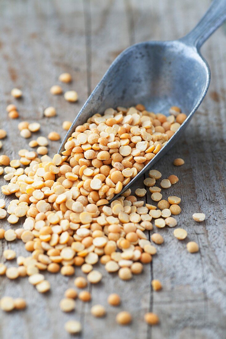 Yellow split lentils