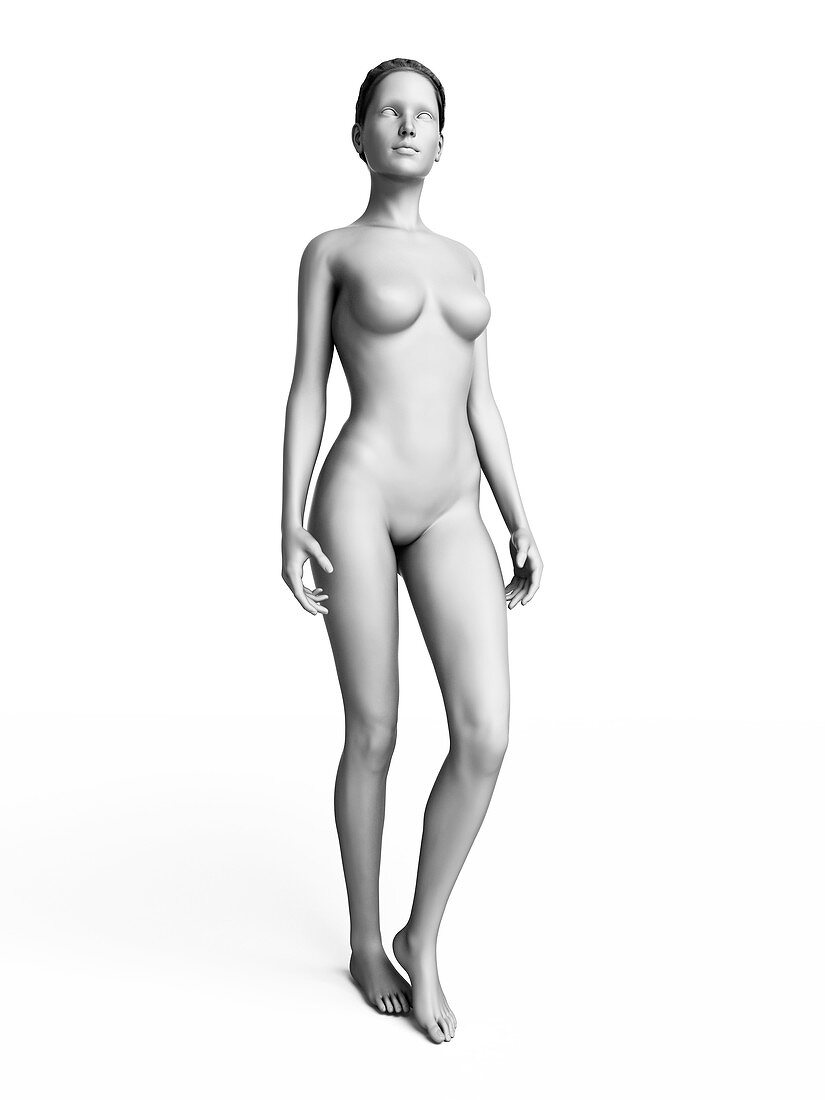 Woman standing,illustration