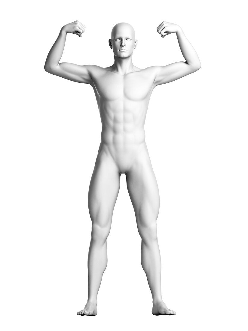Man flexing his muscles,illustration