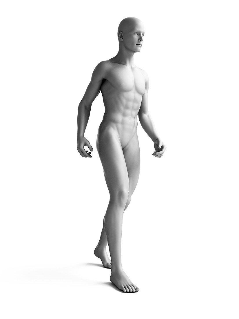Man standing,illustration