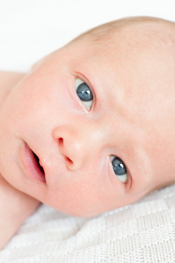 Newborn baby boy looking at camera