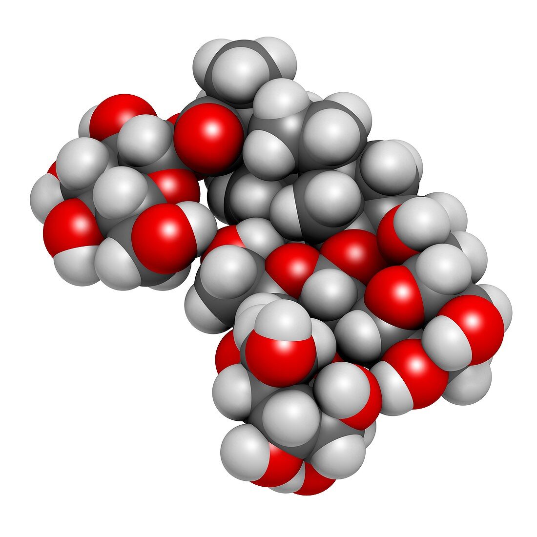 Rebaudioside A molecule
