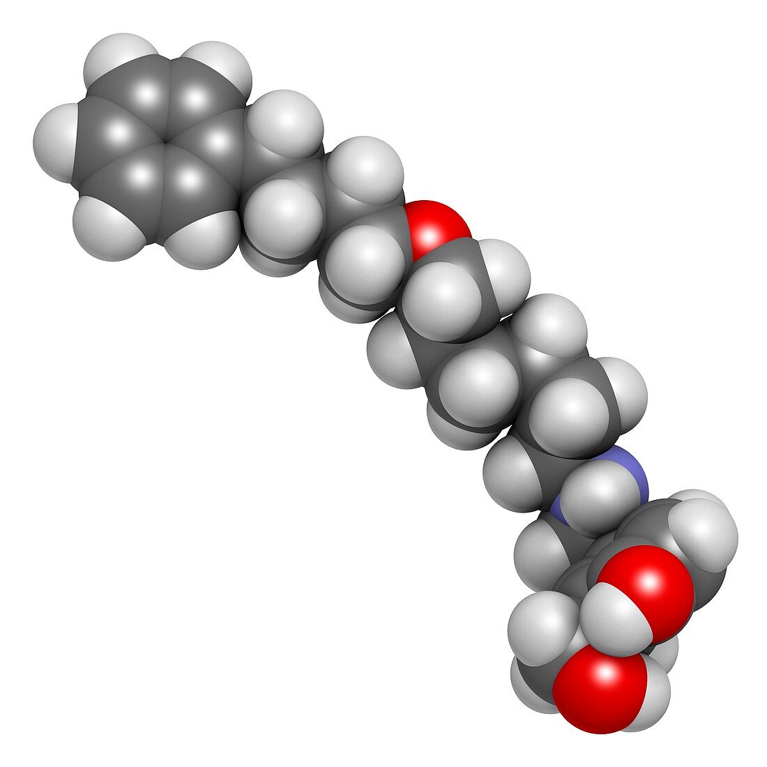 Salmeterol asthma drug molecule
