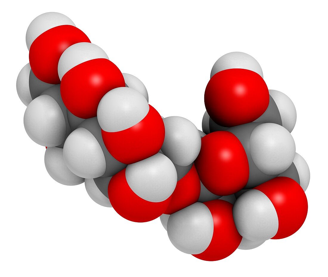 Isomalt sugar substitute molecule