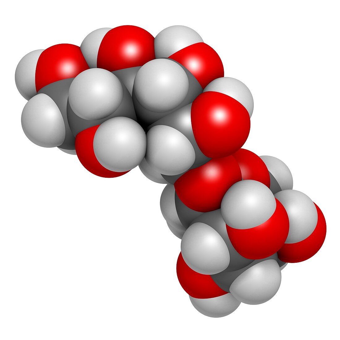 Isomalt sugar substitute molecule