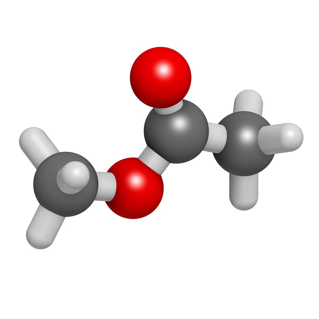 Methyl acetate solvent molecule