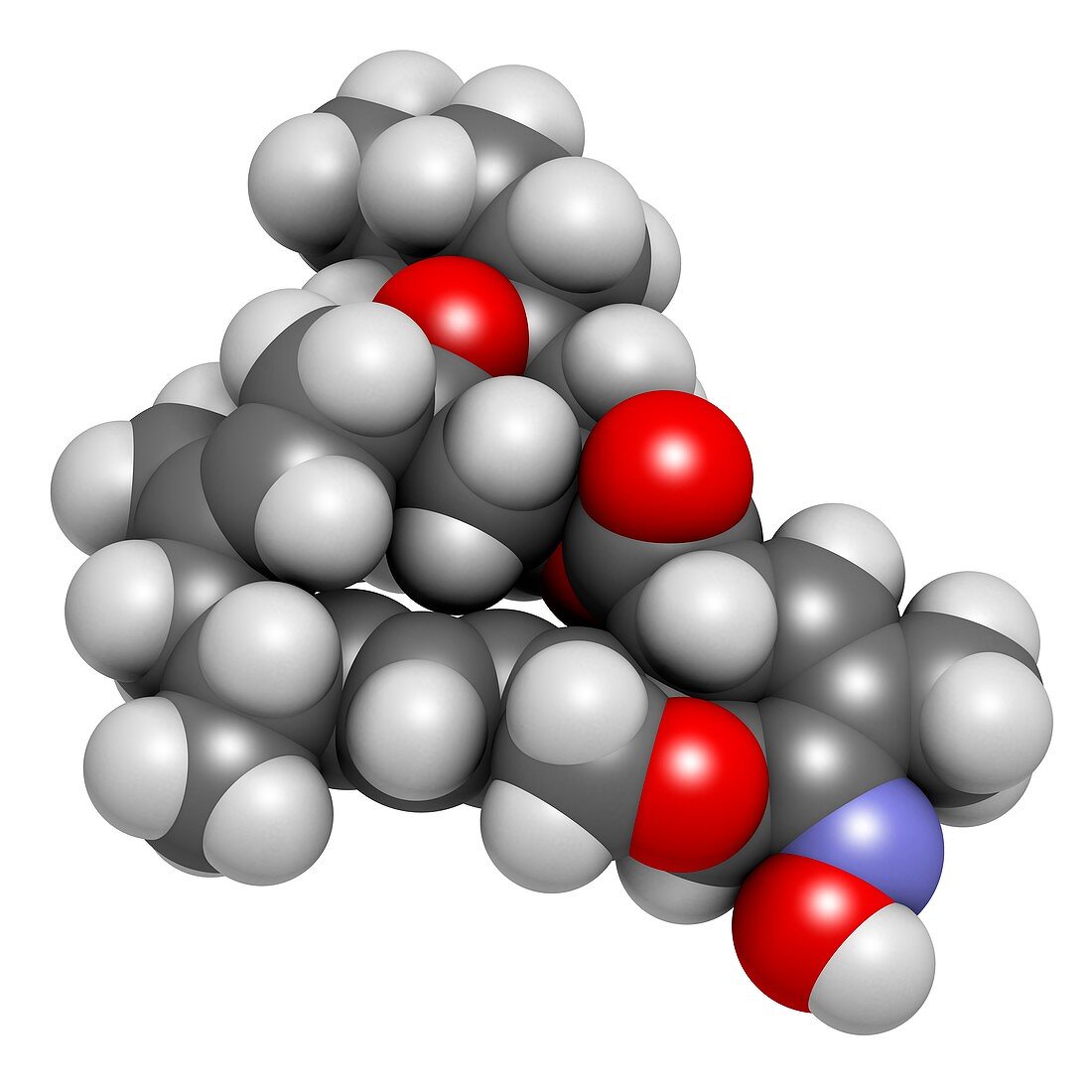 Milbemycin oxime antiparasitic drug