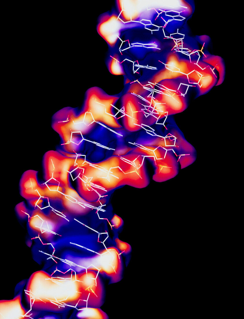 Artwork of DNA