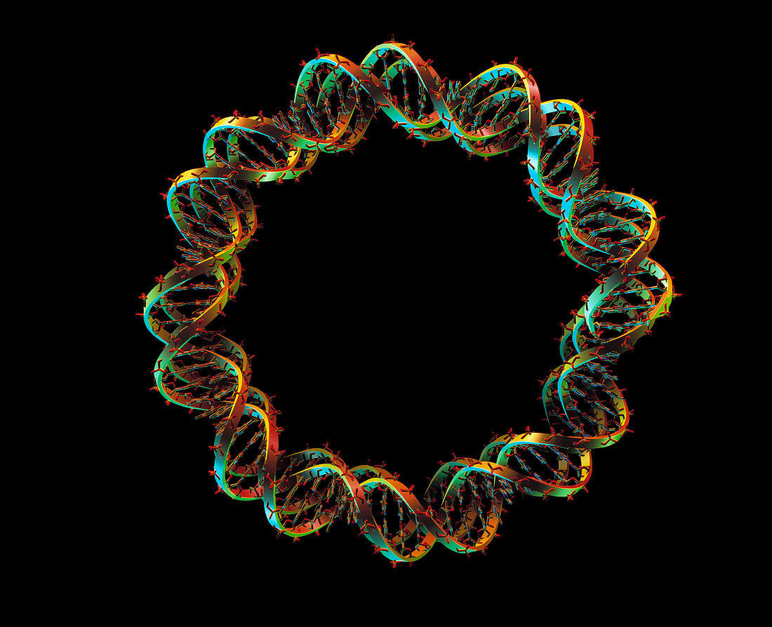 Nucleosome of DNA