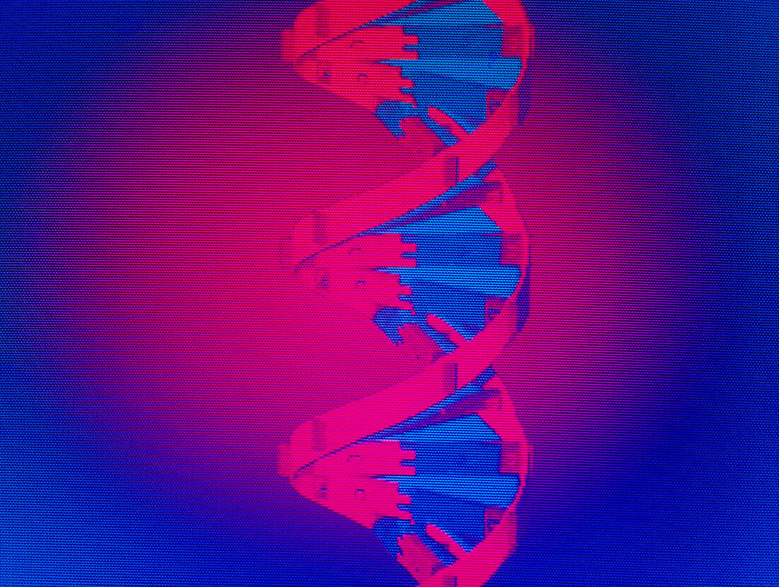 Computer graphic of DNA structure