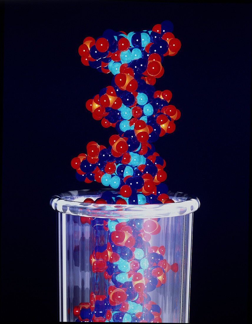 Computer graphic of a DNA molecule from HIV virus