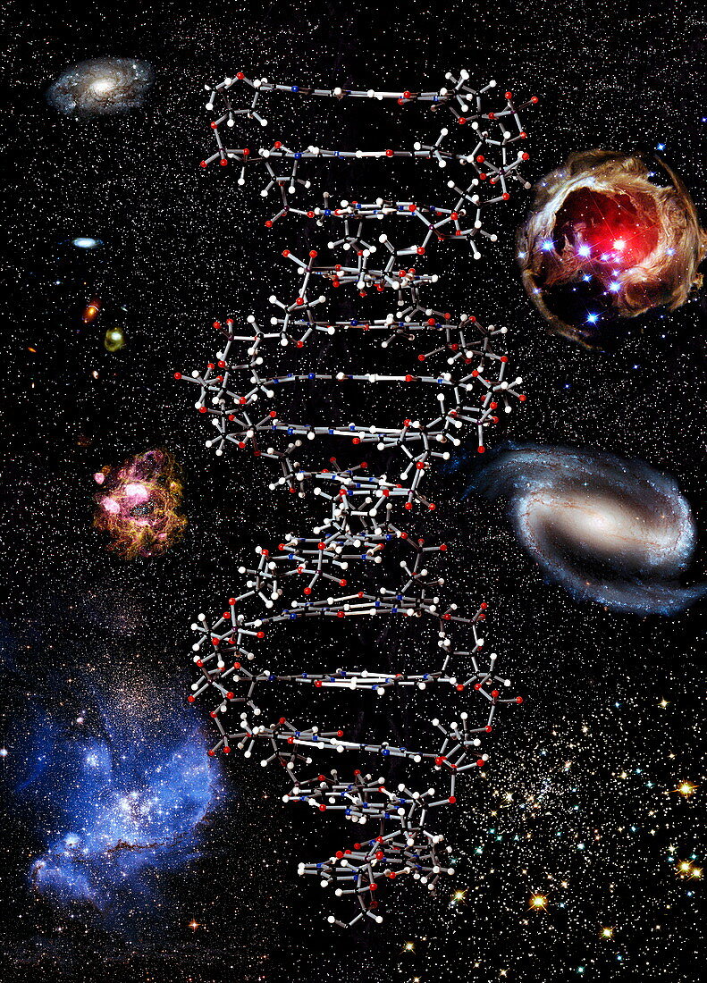 Genetic universe