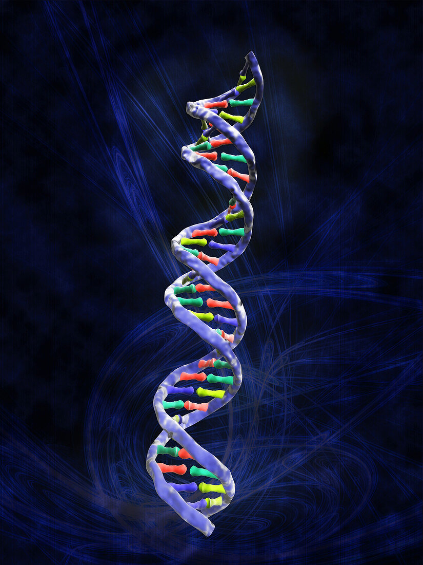 DNA molecule,computer artwork