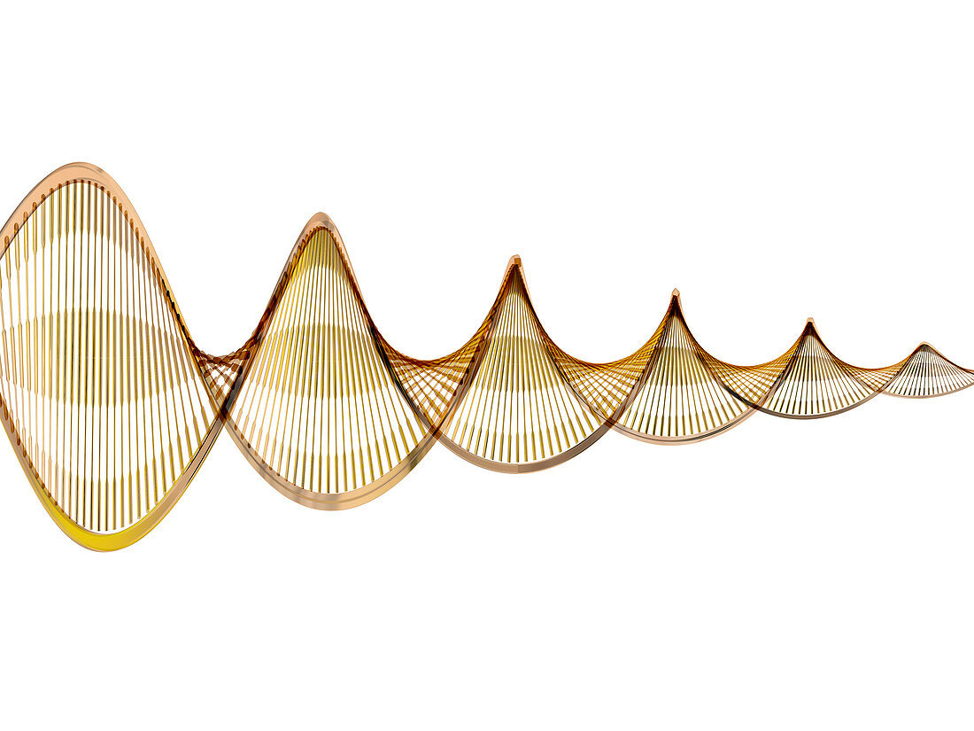 DNA molecule