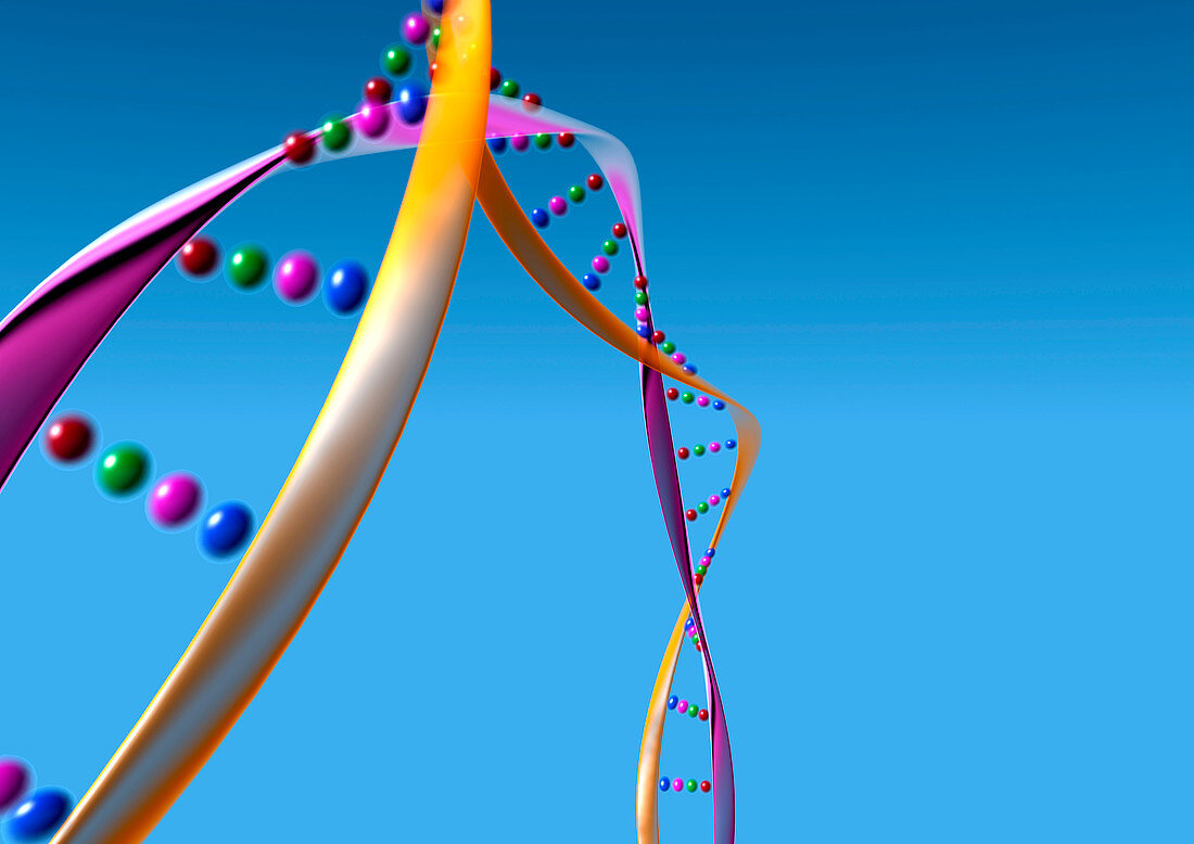 DNA molecule,computer artwork