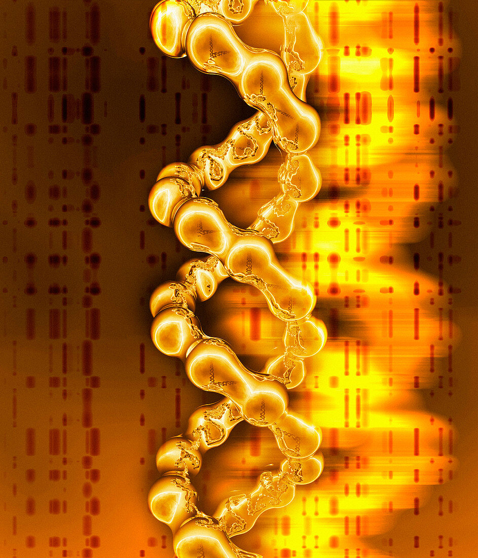 DNA