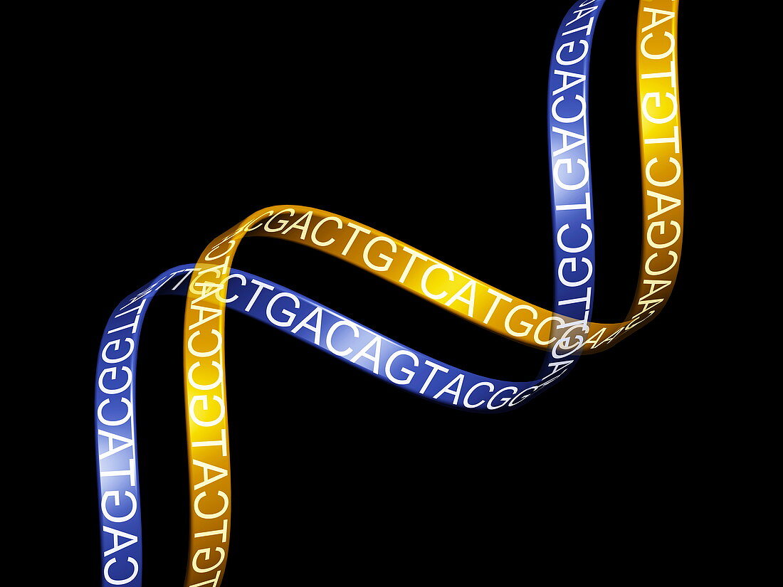 Genetic code