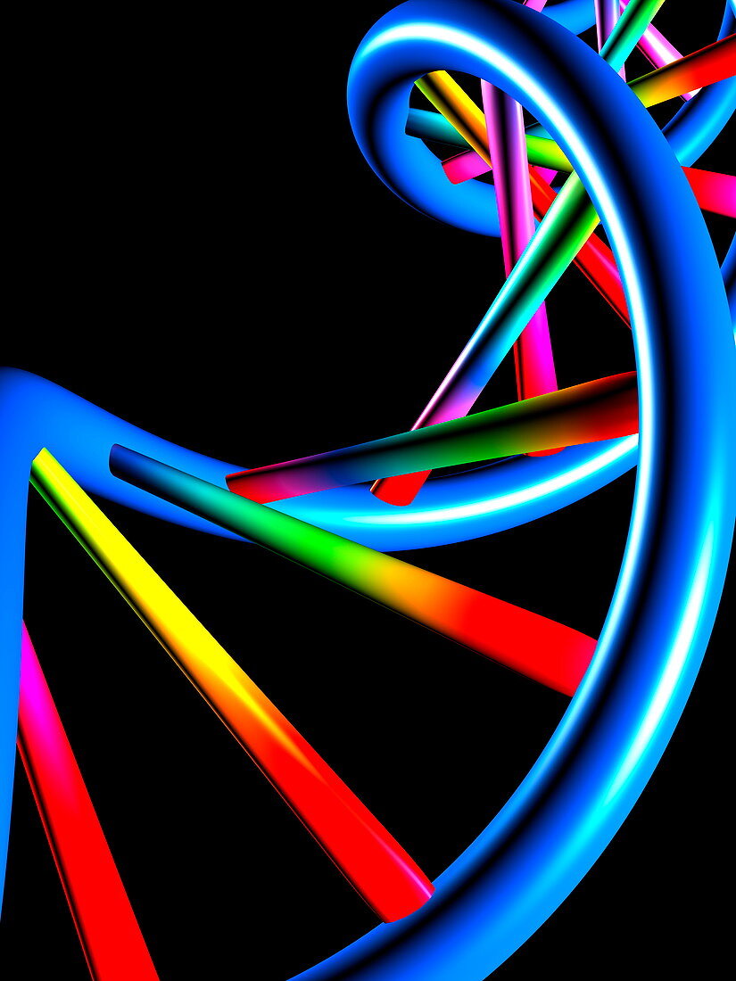 DNA