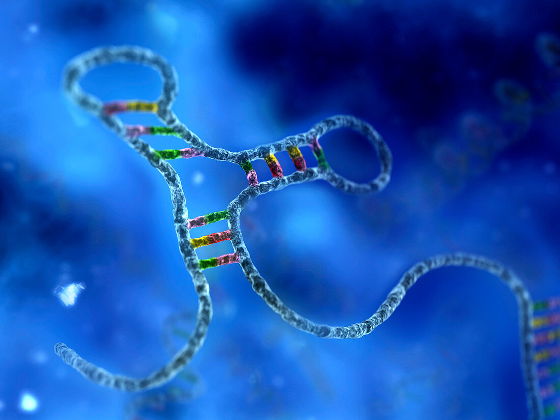 RNA interference,computer artwork