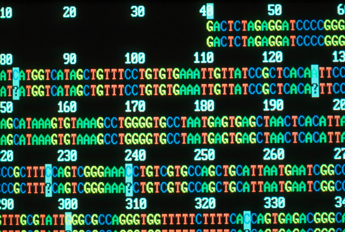 Human genome: computer analysis of DNA sequence
