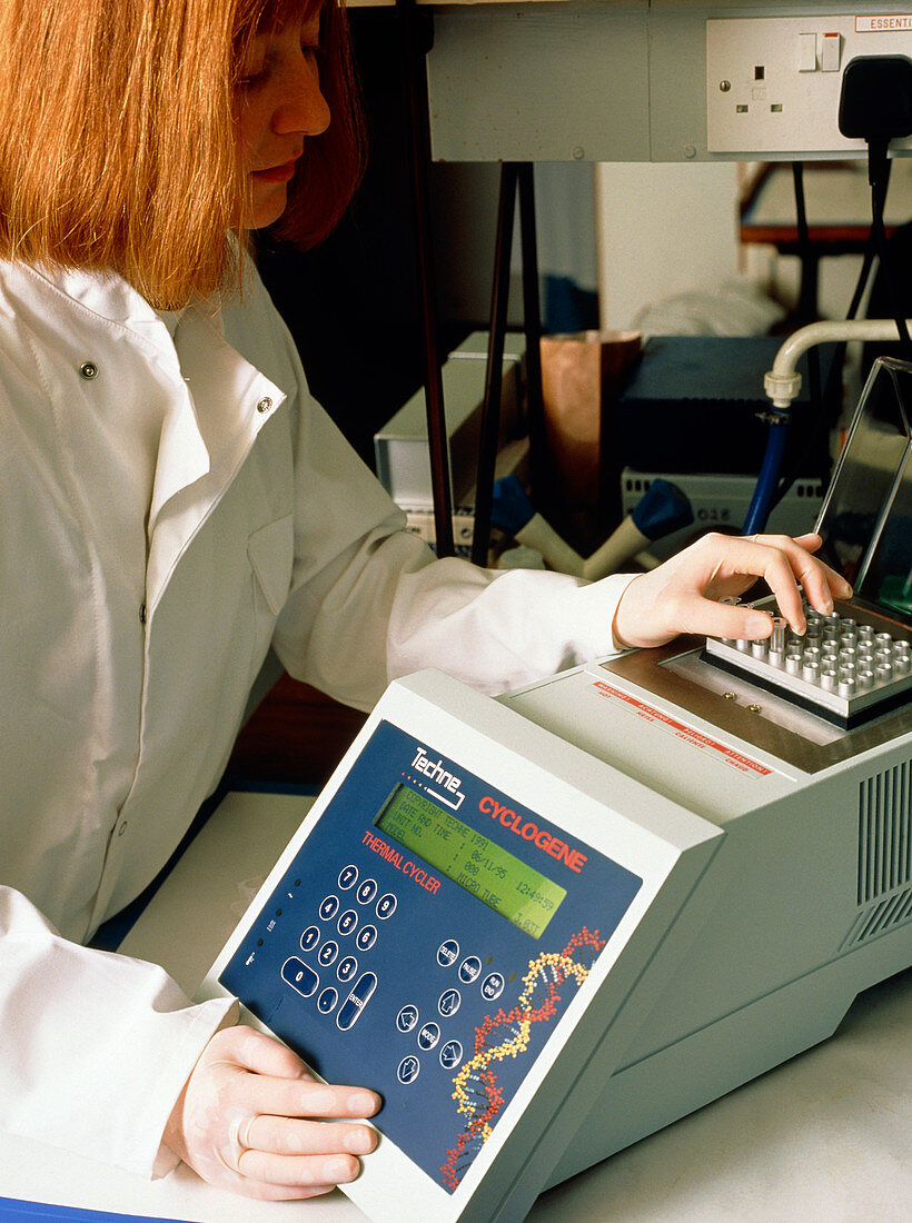 Researcher using PCR equipment to clone DNA