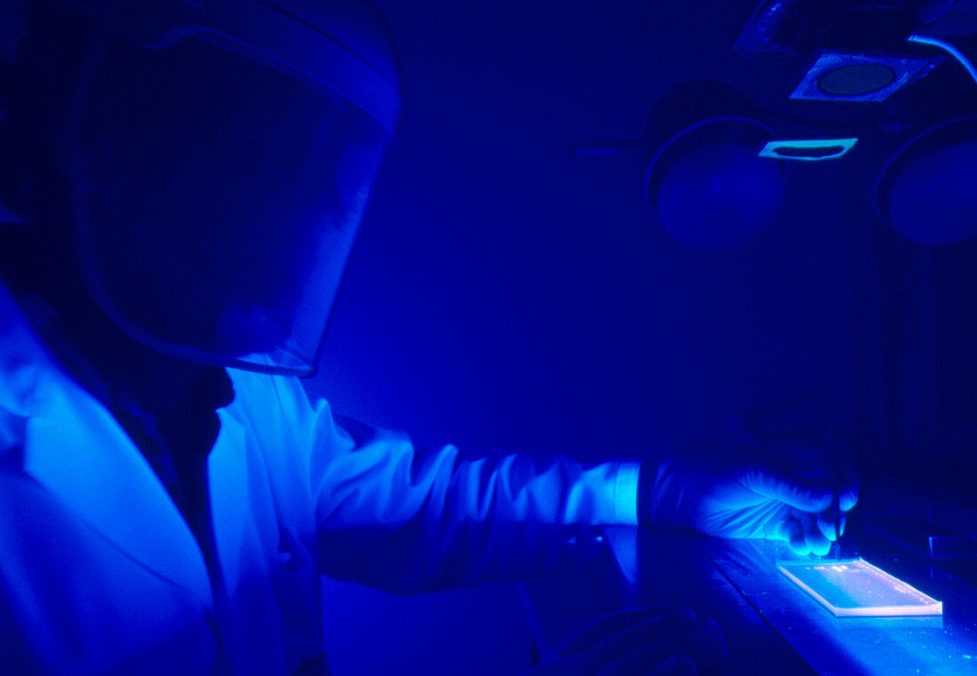 BCG vaccine electrophoresis under UV light