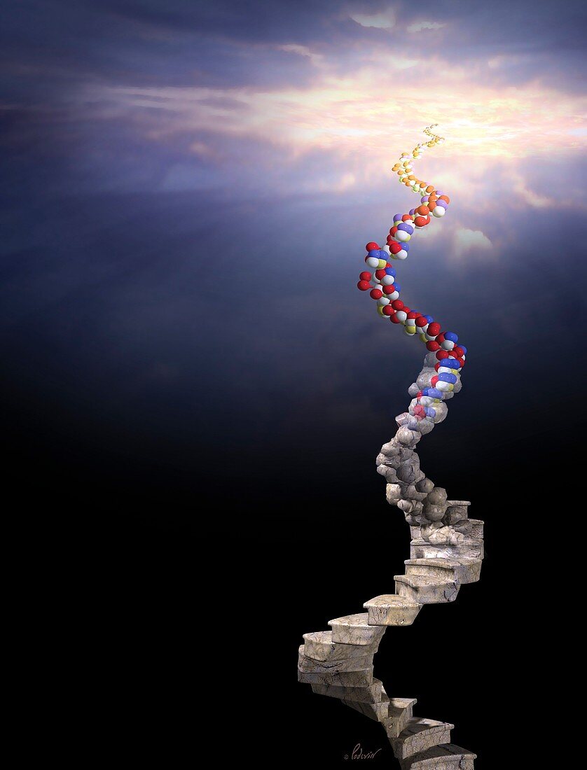 RNA,conceptual artwork