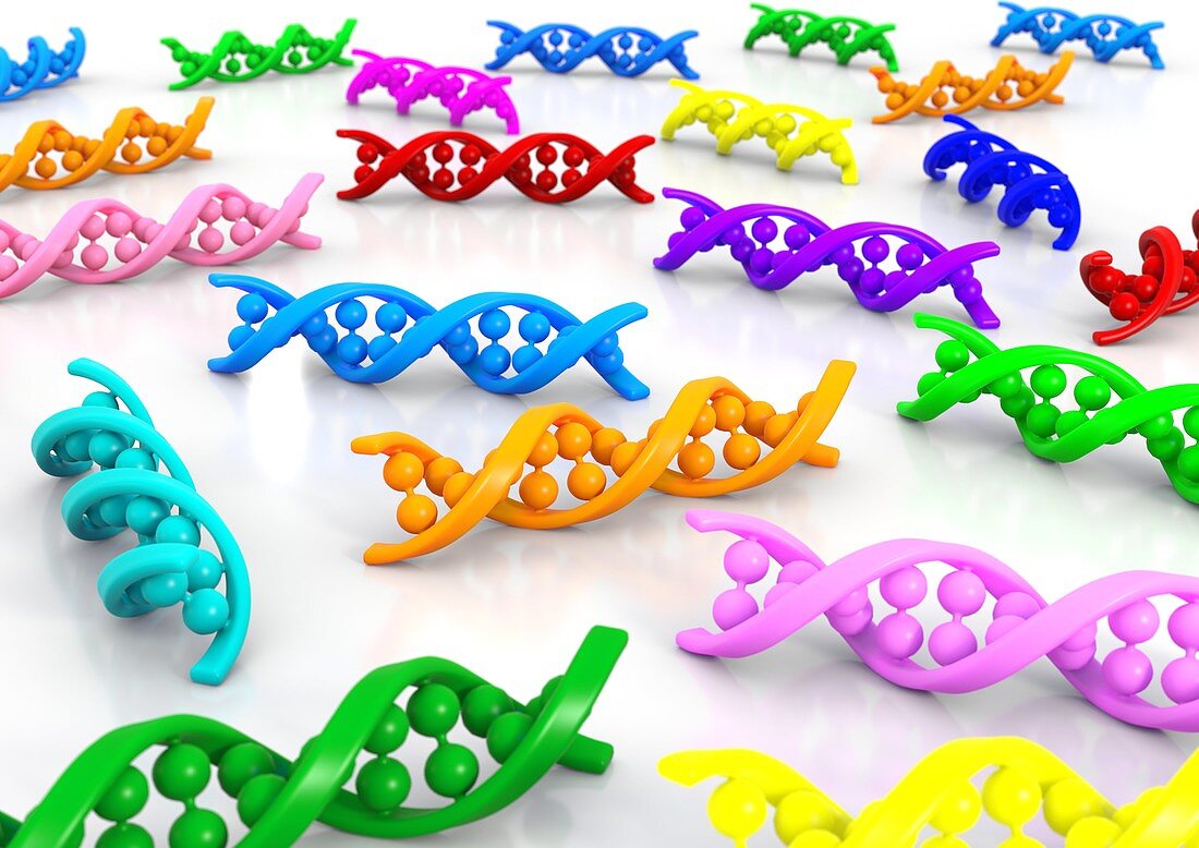 DNA molecules,artwork