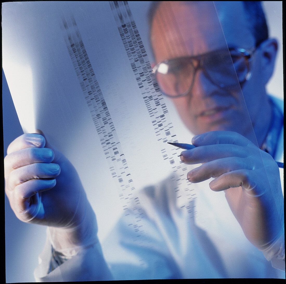 Male technician examines DNA sequences