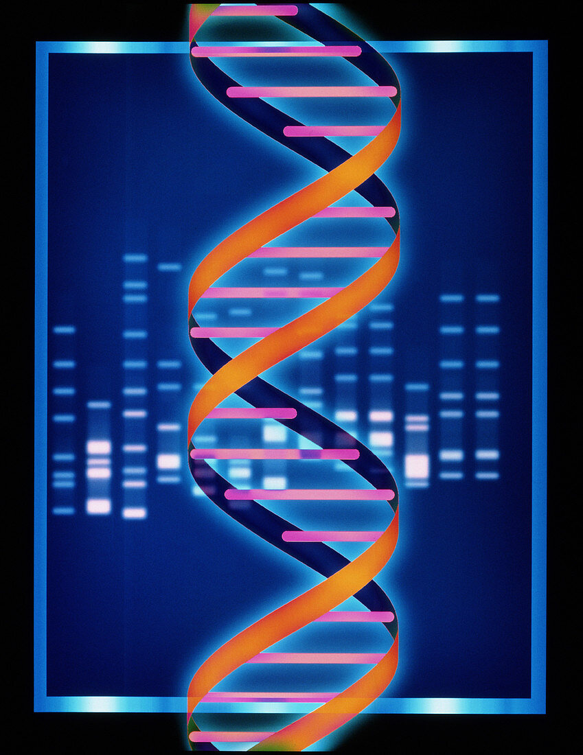 Computer artwork of some DNA with its genetic code