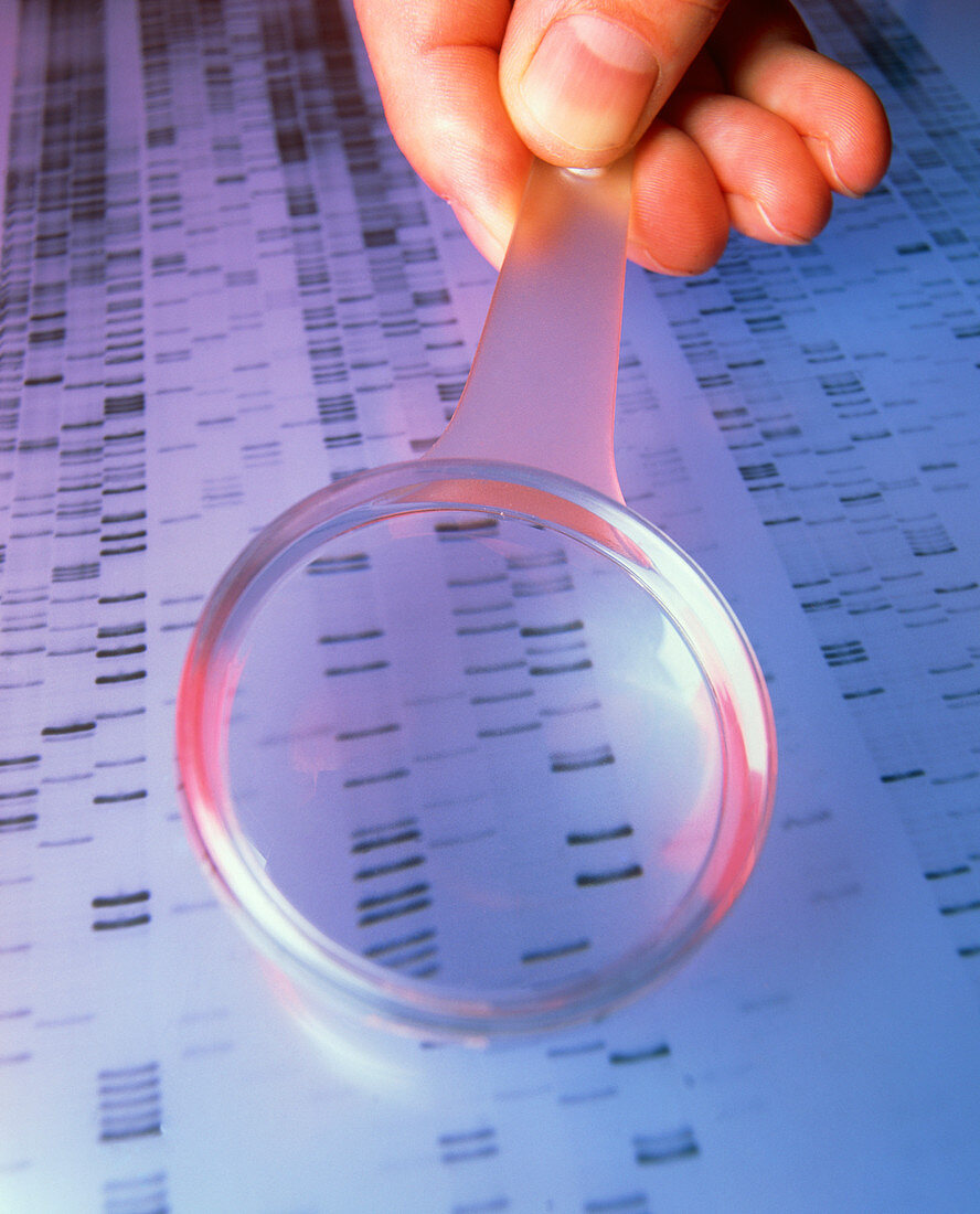 DNA sequence magnified by a magnifying glass