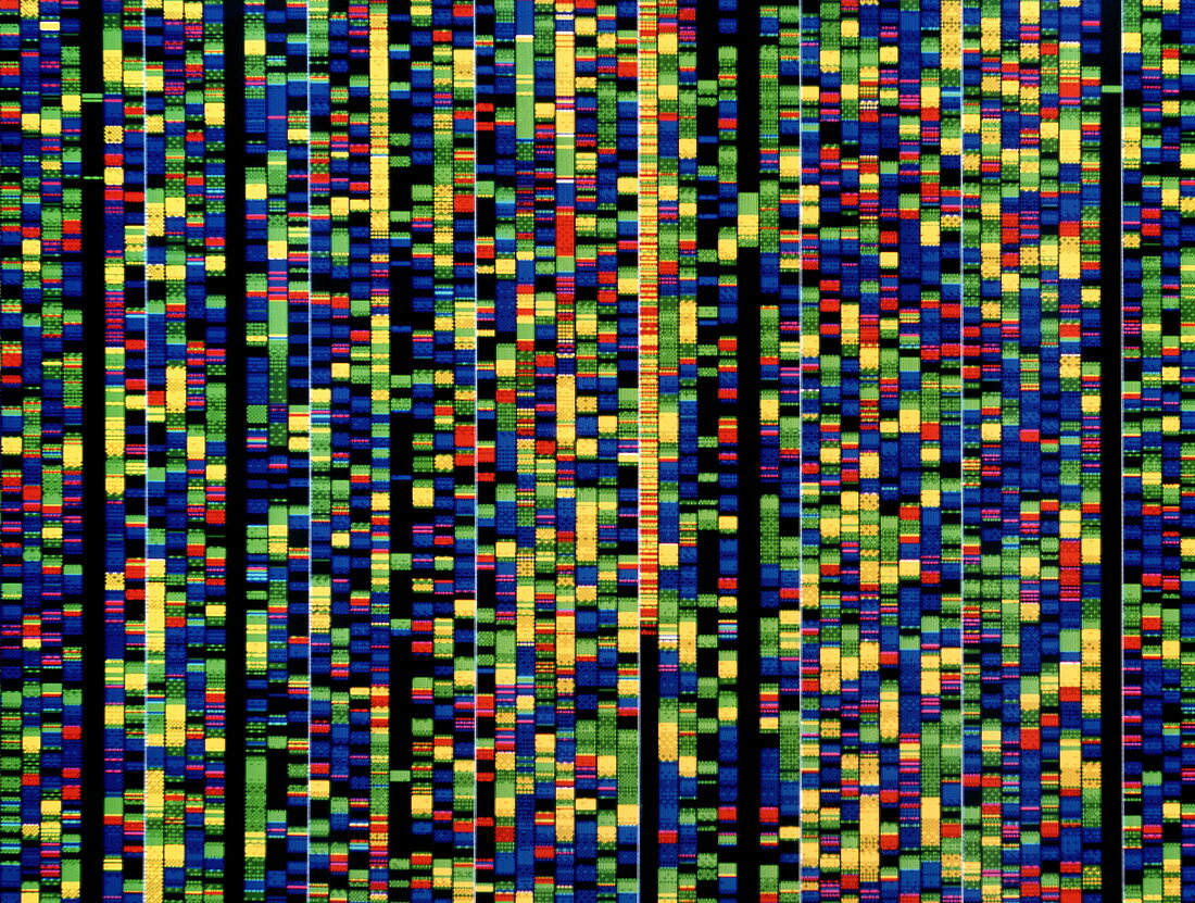 Screen showing a human genetic sequence
